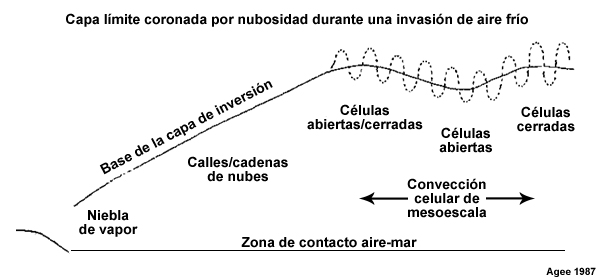 Sección vertical a través de una capa límite coronada por nubosidad entre la costa y alta mar que muestra el régimen convectivo asociado con una invasión de aire frío. Observe la variación en la profundidad de la convección (la base de la inversión) entre la costa y el mar y entre las regiones de células abiertas y cerradas, así como la circulación de las células individuales (línea punteada).