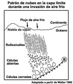 Representación esquemática de los cambios en el régimen de nubes convectivas con la distancia a la costa durante una invasión de aire frío sobre el océano.