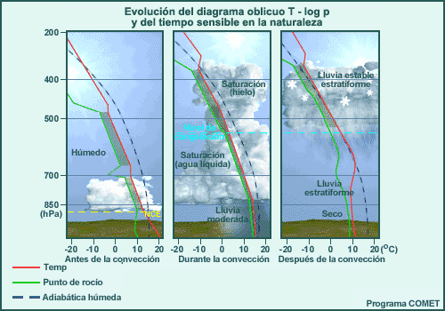 Etapas de desarrollo de la convección de cúmulos con sondeo conceptual y nubes