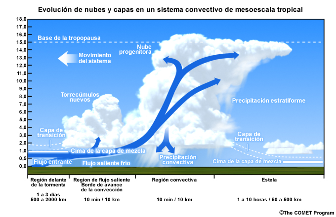 Ciclo de vida y estructura de un sistema convectivo de mesoescala tropical y las variaciones correspondientes en las capas de mezcla y de transición.