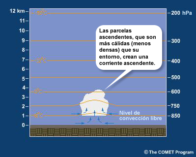 Representación esquemática de una parcela de aire ascendente y la corriente ascendente en un cúmulo más allá del nivel de convección libre