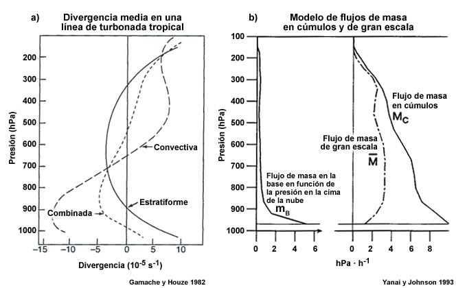 (a) Divergencia media sobre las regiones convectiva (curva de trazos largos), estratiforme (curva continua) y combinada (curva de trazos cortos) de una línea de turbonada tropical. El efecto combinado produce un máximo de convergencia en la baja troposfera y de divergencia en la alta troposfera; (b) perfil vertical del flujo de masa en cúmulos (MC) diagnosticado a partir de los datos promedio de la fase III del experimento GATE con un modelo sin corrientes descendentes y del flujo de masa de gran escala (curva de trazos y puntos). El flujo de masa en los cúmulos alcanza su pico cerca de la superficie y disminuye con la altura.