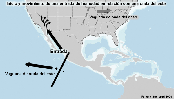 Representación esquemática de la iniciación y el movimiento de la entrada de un flujo de humedad en Norteamérica relacionado con una onda del este.