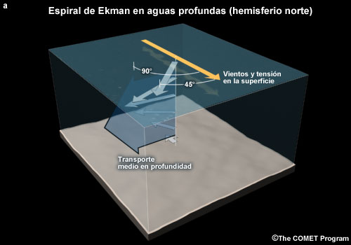 Corrientes de superficie y de transporte profundo promedio debido a la espiral de Ekman en aguas profundas. Esto rige a menudo en aguas profundas, pero no en aguas someras.