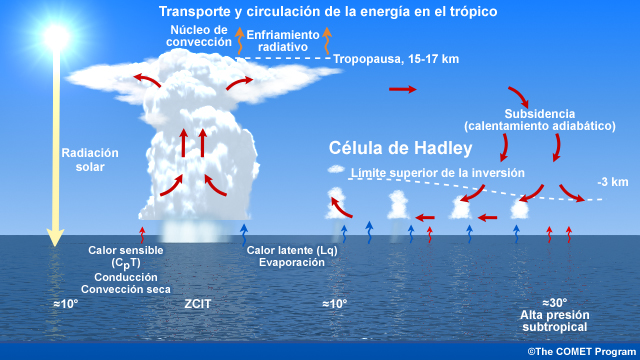 Circulación y energía en la células de Hadley sobre el océano.