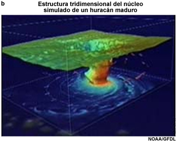 Estructura tridimensional del núcleo de un huracán maduro.