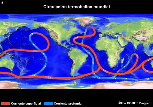Las corrientes superficiales y profundas de la circulación termohalina oceánica mundial y las zonas de subducción y afloramiento entre ellas.
