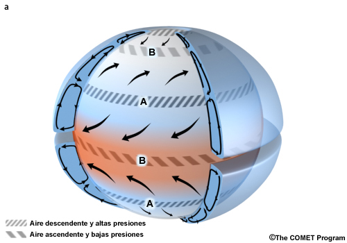 El modelo de circulación de tres células para un planeta acuático.