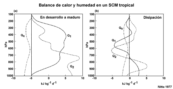 Fuente de calor aparente media de gran escala (Q1), sumidero de humedad aparente (Q2) y calentamiento radiativo (QR) para la convección durante el experimento GATE: (a) aglomeración de nubes que alcanzó la madurez y (b) disipación de la convección, en kJ kg-1 d-1.