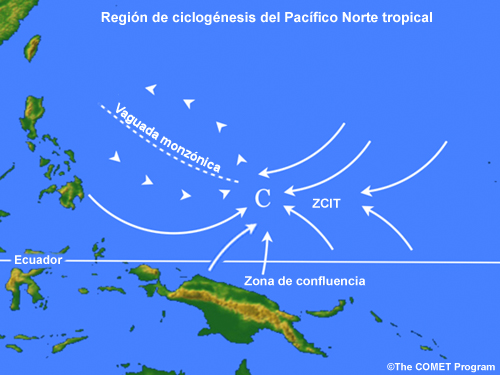 Representación esquemática de la región de ciclogénesis tropical del Pacífico Norte occidental en la cual se distinguen una zona de vaguada monzónica y la ZCIT casi ecuatorial, que se juntan en una zona de confluencia (según Briegel y Frank 1997).