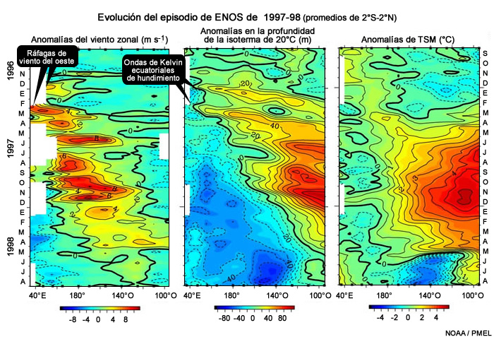 La aparición de El Niño de 1997-98 estuvo marcada por ondas de Kelvin ecuatoriales de hundimiento provocadas por ráfagas de viento del oeste.