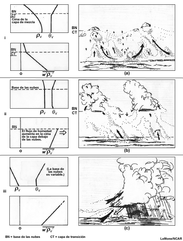 Variaciones en la estructura termodinámica debajo de las nubes y el flujo turbulento de humedad a medida que aumentan la intensidad convectiva y la nubosidad.