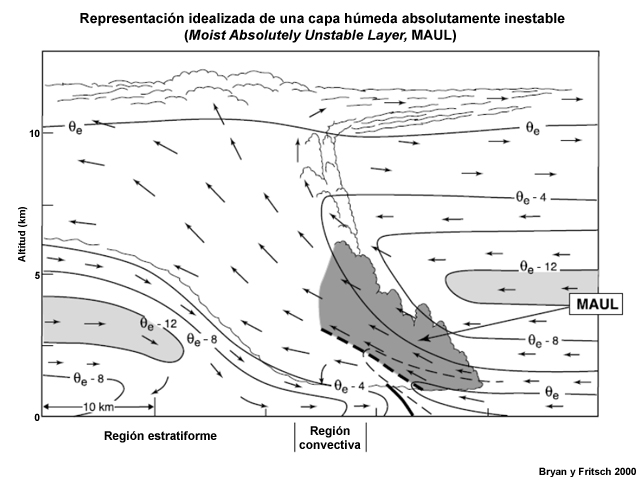Sección vertical a través de la representación conceptual de una mezcla convectiva en bloque. El vector flujo está referido al sistema, los contornos de coliflor indican el límite de la nube, las líneas continuas corresponden a valores de theta e (intervalos de 4 K; la línea fina de trazos representa un valor intermedio y la línea gruesa de trazos marca el eje de valores máximos) y la línea continua gruesa indica el límite de la corriente de salida (la zona frontal); el gris claro resalta la capa de aire de theta e baja en niveles medios y el tono gris oscuro representa la capa húmeda absolutamente inestable (Moist Absolutely Unstable Layer, MAUL).