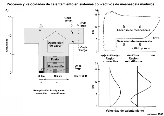 (a) Representación esquemática de los procesos de calentamiento en MCS284; (b) diagrama conceptual de la etapa de madurez de un SCM; (c) perfiles no dimensionales de la velocidad de calentamiento en las regiones convectiva y estratiforme del SCM.