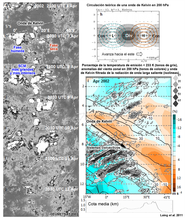 (a–g) Imágenes IR realzadas captadas entre el 6 y el 12 de abril de 2002; (h) circulación teórica en el nivel de 200 hPa para una onda de Kelvin atrapada en el ecuador; (i) diagrama de Hovmöller de la frecuencia de Te <233 K (isotermas continuas >10%, tonos de gris >21%) superpuesta a la anomalía del viento zonal en 200 hPa (los tonos anaranjados son del este y los turquesa, del oeste) y a las ondas de Kelvin filtradas a partir de la anomalía diurna en la radiación de onda larga saliente (las isotermas negras de trazos corresponden a anomalías negativas y las negras continuas a anomalías positivas, intervalos de 20 W m-2 ). (h) Adaptado de Wheeler et al., (2000) con tonos de gris (rayas) para indicar divergencia (convergencia). Las isolíneas sin sombreado son geopotenciales y las de trazos son negativas; se ha omitido la isolínea cero. El vector viento máximo es de 2,3 unidades. Las escalas dimensionales son las mismas utilizadas en Matsuno (1966). La cota máxima se indica en metros debajo del diagrama de Hovmöller en (i). Se utilizan promedios entre 7,5 grados S y 7,5 grados N.