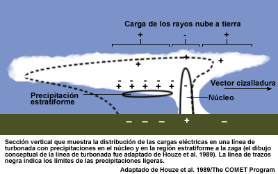 Sección vertical que muestra la distribución de las cargas eléctricas en una línea de turbonada con precipitaciones en el núcleo y en la región estratiforme a la zaga (el dibujo conceptual de la línea de turbonada fue adaptado de Houze et al., 1989). La línea de trazos negra indica los límites de las precipitaciones ligeras.