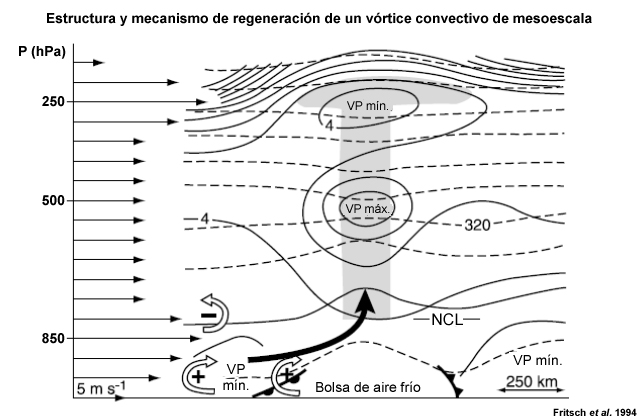 Diagrama conceptual de la estructura y el mecanismo de desarrollo de un vórtice de núcleo caliente de mesoescala en relación con un SCM. Las flechas finas a lo largo del eje de las ordenadas indican el perfil vertical del viento ambiental. Las flechas blancas con los signos más (+) y menos (−) indican el sentido de rotación de la componente de vorticidad perpendicular al plano del corte vertical producida por la bolsa de aire frío y la cizalladura vertical del viento ambiental. La flecha negra gruesa indica el eje de la corriente ascendente creada por la distribución de la vorticidad. Los símbolos de frentes marcan los límites de la corriente de salida. Las isolíneas de trazos representan la temperatura potencial (intervalos de 5 K) y las isolíneas continuas corresponden a la vorticidad potencial (intervalos de 2x107 m-2 s-1 K kg-1). Una masa de aire de temperatura potencial equivalente elevada en el chorro de bajo nivel se está adelantando al sistema, que se propaga de izquierda a derecha a aproximadamente 5–8 m s-1. El aire que se adelanta al vórtice asciende por las superficies isoentrópicas, alcanza su nivel de convección libre (NCL) y de este modo inicia la convección profunda. La zona gris denota nubes.