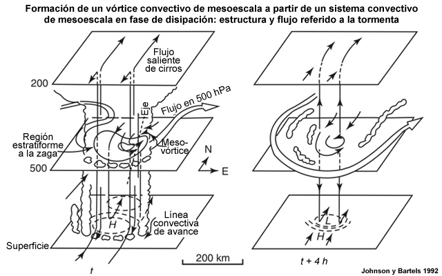 Representación conceptual de la estructura de la nubosidad y del flujo relativo al sistema durante la etapa de disipación de una línea de turbonada (t) y la etapa de mesovórtice plenamente desarrollado (t + 4h). Las flechas negras representan el flujo relativo a la tormenta y las flechas blancas corresponden al flujo a gran escala en el nivel de 500 hPa. La línea punteada indica de forma aproximada la extensión vertical y la inclinación (hacia el nordeste) del núcleo del mesovórtice.