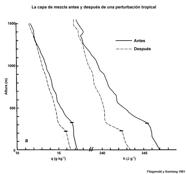Perfiles medios de humedad específica (q) y energía estática húmeda (h) antes (líneas de trazos) y después (líneas continuas) del paso de una perturbación oceánica tropical. Los trazos horizontales marcan el límite superior de la capa de mezcla.