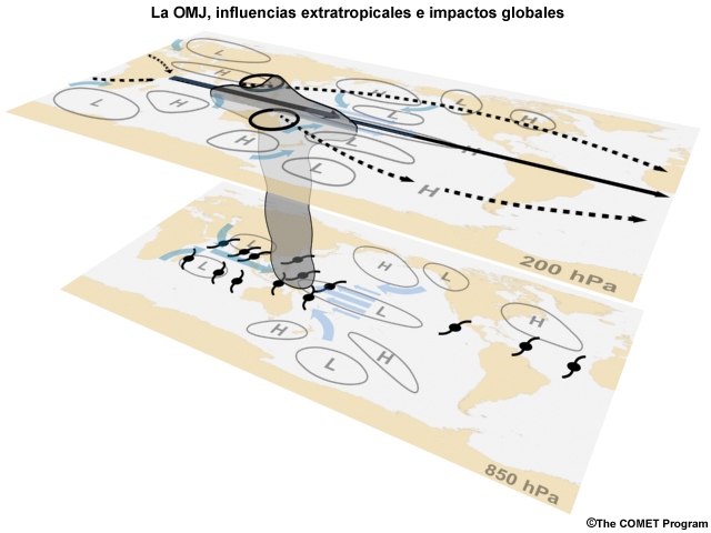 Interacción de la MJO y las circulaciones tropicales con las ondas extratropicales.