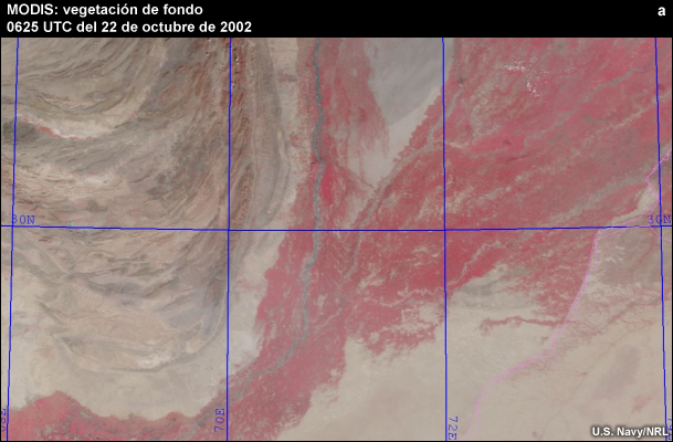 Vegetación de fondo de MODIS.
