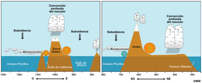 Representación esquemática en dos cortes verticales, correspondientes al verano respectivo, de este a oeste a 30 grados de latitud norte, a través del monzón de norteamericano (izquierda) y de sudoeste a nordeste a través de la región del monzón sudamericano (derecha). Los cortes verticales representan la circulación del monzón, las regiones de convección profunda y los chorros de bajo nivel (series de círculos concéntricos). El panel del monzón norteamericano fue adaptado de W. Higgins, NOAA.