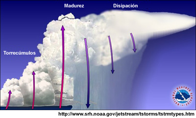 Representación esquemática de una tormenta multicelular.