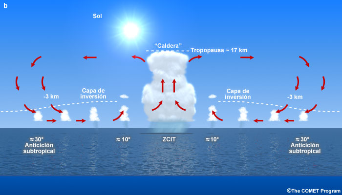Sección transversal que muestra la circulación meridional.