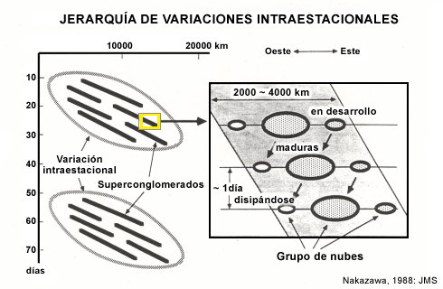 Representación esquemática de la variabilidad intraestacional (elipses inclinadas) de los complejos de nubes de gran escala.