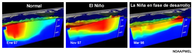 La TSM y el perfil de temperatura del agua en el Pacífico ecuatorial ilustran el cambio del océano superior durante la transición de condiciones normales a El Niño y a la etapa de desarrollo de La Niña.