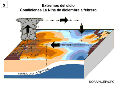 Representación esquemática del océano superior y la circulación atmosférica durante La Niña.