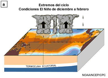 Representación esquemática del océano superior y la circulación atmosférica durante El Niño.