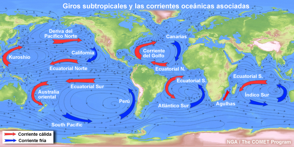 Circulaciones oceánicas globales superficiales y giros subtropicales; las corrientes oceánicas cálidas se indican en rojo y las corrientes oceánicas frías, en azul.