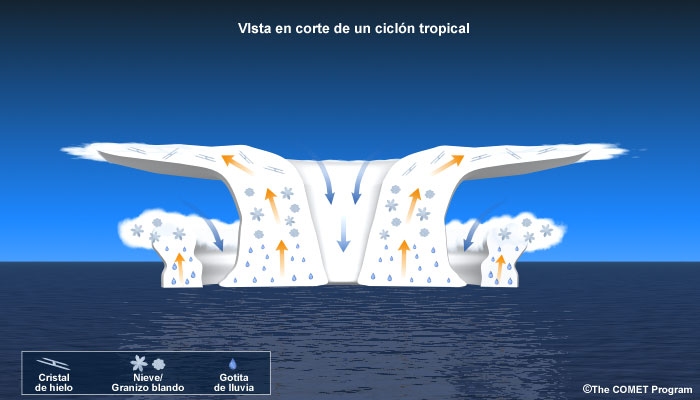 Representación esquemática de la sección transversal de un ciclón tropical.