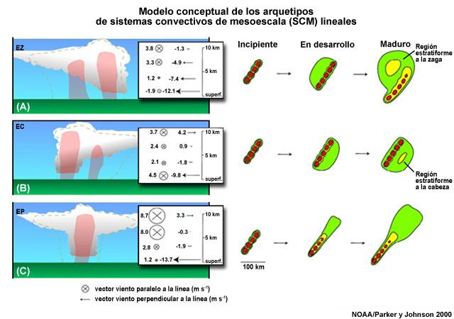 Modelo conceptual de los arquetipos de sistemas convectivos de mesoescala lineales (líneas de turbonada) de latitudes medias, su estructura, la cizalladura vertical correspondiente y su evolución desde la etapa incipiente hasta la madurez.