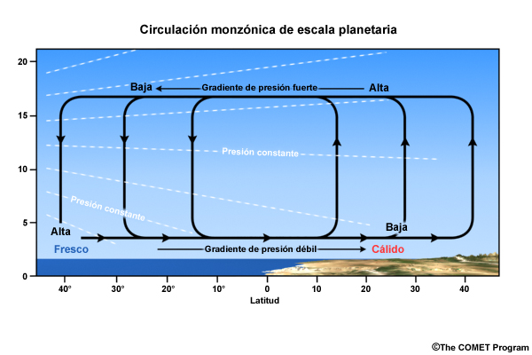 Representación esquemática de las circulaciones monzónicas de escala planetaria impulsadas por el calentamiento diferencial entre las masas continentales cálidas y los océanos más frescos en un planeta en rotación. Corte vertical de la circulación entre el océano y tierra firme.