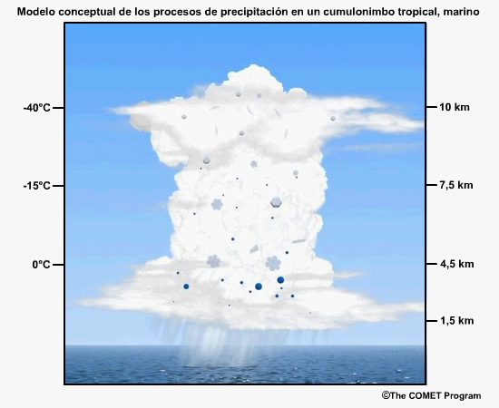 distribución de hidrometeoros en un cumulonimbo tropical