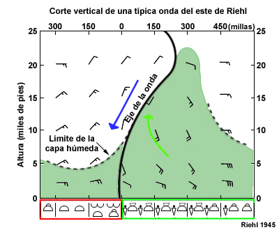 Representación esquemática de un corte vertical a través de una onda tropical que muestra la velocidad del viento, la capa húmeda y el tiempo asociado. Las flechas indican el flujo en ambos lados del eje de la vaguada de la onda.