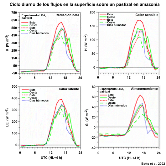 Evaluación del ciclo diurno de precipitación, termodinámica de superficie y flujos de superficie a partir de observaciones en amazonia.