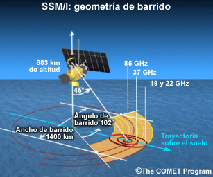 Moléculas que absorben la radiación solar.