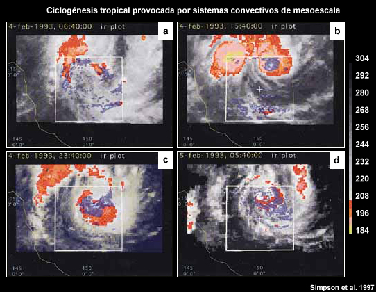 Desarrollo del ciclón tropical Oliver a partir de la fusión de dos sistemas convectivos de mesoescala.