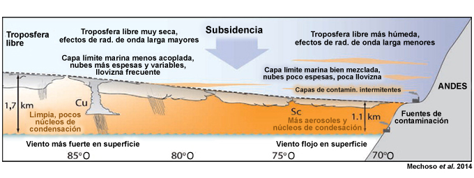 Modelo conceptual de la transición de una capa límite cubierta por estratocúmulos a una capa de cúmulos más profundos y de los cambios en las concentraciones de aerosoles (núcleos de condensación de nubes, NCN), en los estratocúmulos (Sc) y cúmulos (Cu) marinos y en las precipitaciones a lo largo del paralelo de 20 grados sur en el Pacífico sudoriental tropical.