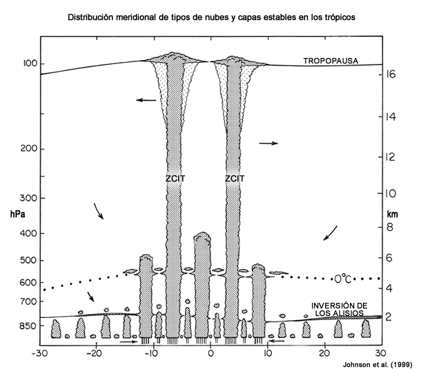 Distribución y profundidad de los tipos de nubes tropicales