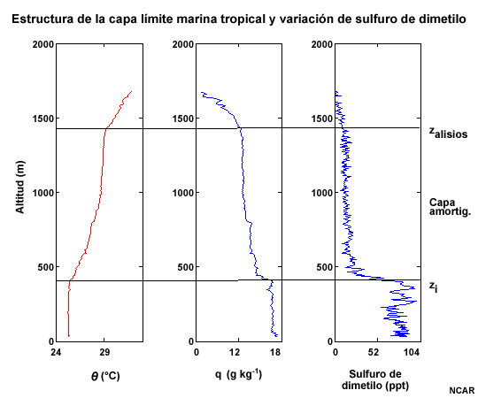 Estructura termodinámica y variación típica del sulfuro de dimetilo (DMS) en la capa límite marina tropical y la capa amortiguadora suprayacente. zi representa la altura media de la inversión débil de la capa límite marina y zalisios indica la inversión de los alisios en altura, más fuerte. Los ejes horizontales de las tres gráficas corresponden a temperatura potencial, vapor de agua y sulfuro de dimetilo, respectivamente.