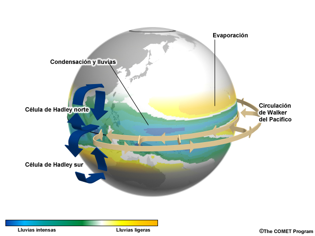 Circulaciones tropicales que resultan de los componentes antisimétricos (a) y simétricos (b) del calentamiento diabático.