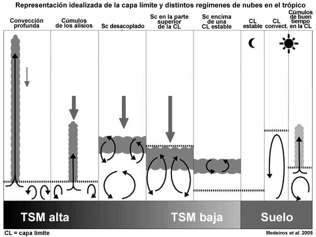 Representación esquemática idealizada de distintos regímenes de capa límite atmosférica con la atmósfera libre y las capas de nubes asociadas. De izquierda a derecha: convección profunda, cúmulos (Cu) en los alisios, estratocúmulos (Sc) desacoplados de la capa subnubosa, una capa de estratocúmulos en la cima de la capa límite, estratocúmulos encima de una capa límite estable, dos capas límite despejadas (convectiva y estable) y una capa límite con cúmulos de buen tiempo por encima de una capa convectiva.
