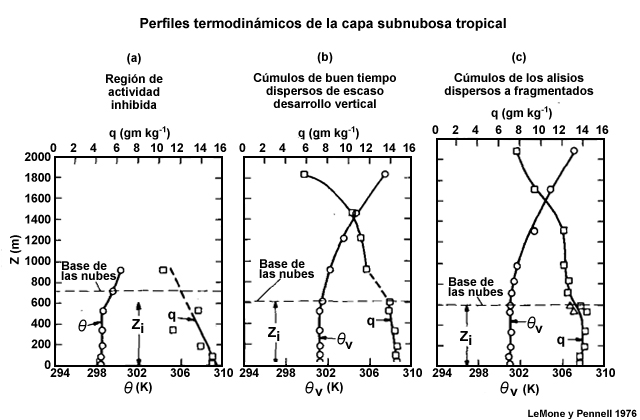 Temperatura potencial virtual media y perfiles de razón de mezcla para (a) una región de actividad inhibida casi sin nubes, (b) una región de cúmulos de buen tiempo de escaso desarrollo vertical dispersos y (c) cúmulos de los alisios entre dispersos y entrecortados.