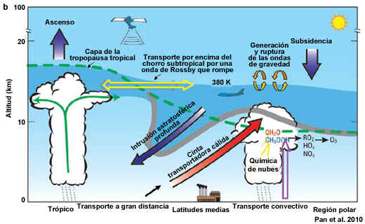 Procesos importantes que acoplan dinámica, química y microfísica de nubes en la troposfera superior y la estratosfera inferior. La línea de trazos verde denota la tropopausa promediada en el tiempo. En el trópico, el flujo de salida máximo de la convección profunda ocurre cerca de 12-14 km de altitud, pese a que el punto frío de la tropopausa se sitúa a casi 17 km de altitud. Los tonos azul oscuro marcan la capa de la tropopausa tropical. El intercambio estratosfera-troposfera extratropical ocurre en los pliegues y las intrusiones en la tropopausa en relación con los sistemas sinópticos, que transportan ozono estratosférico a la troposfera. Las flechas verdes representan el transporte de los contaminantes desde cerca de la superficie hasta la troposfera superior, que afecta fuertemente la química a escala mundial. Adaptado de Stohl et al. (2003).