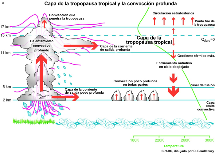 Representación esquemática de la capa de la tropopausa tropical, la convección y el transporte vertical en el trópico, y el perfil de temperatura media.