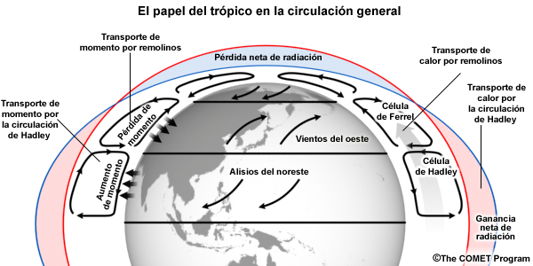 Representación esquemática del papel del trópico en el transporte de calor y momento en la circulación general.